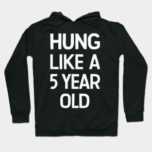 Hung Like A 5 Year Old funny humor quote for couples Hoodie